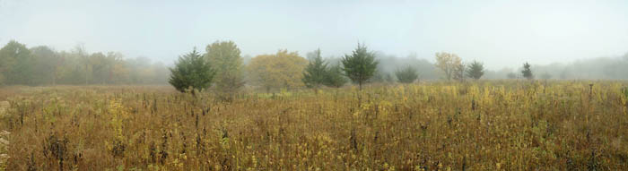 A Delicate Balance, Konza Prairie