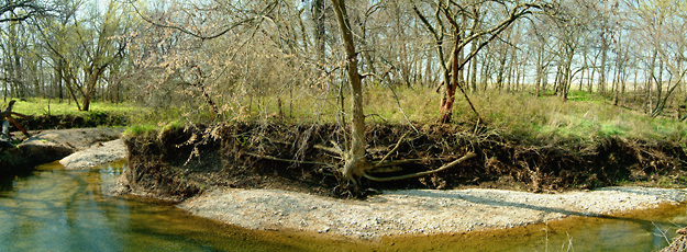 April Springing, Konza Prairie