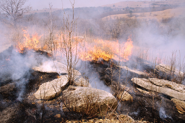 Fire Forms, Konza Prairie