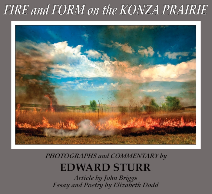 Fire and Form on the Konza Prairie
