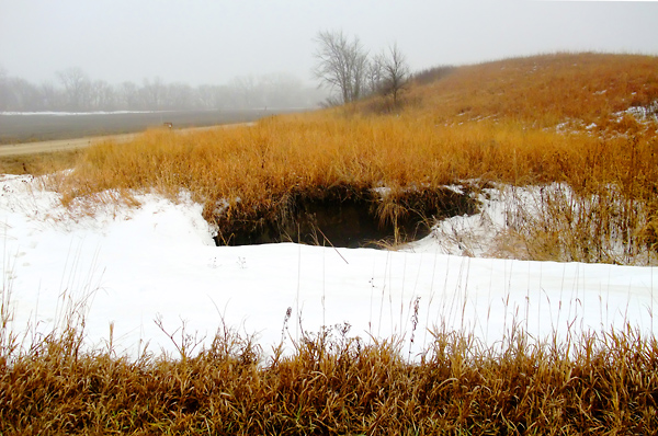Gentle Glacier, Konza Prairie