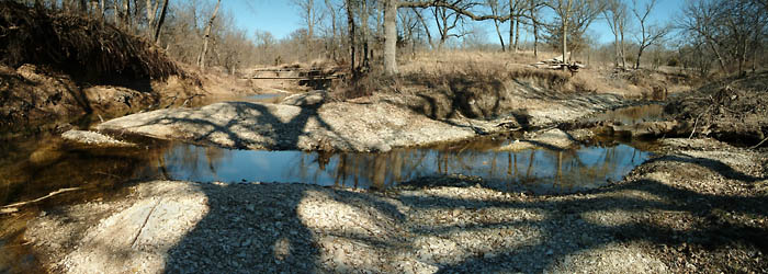 King's Spread, Konza Prairie