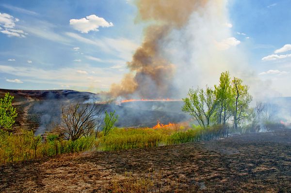 Last Exit, Konza Prairie