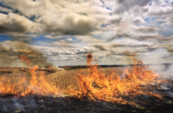 March In May, Konza Prairie
