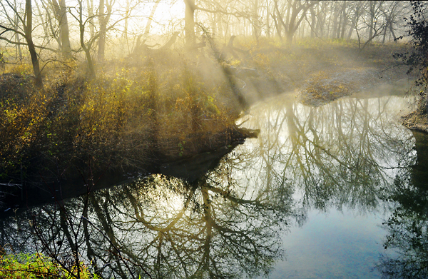 Morning Breakout, Konza Prairie