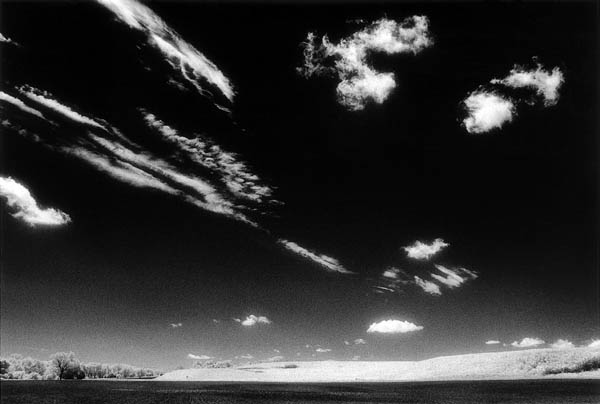 Notations, Konza Prairie