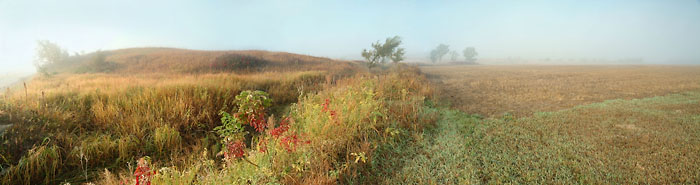 October Morning, Konza Prairie