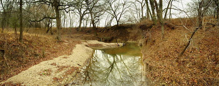 Royal Woods, Konza Prairie