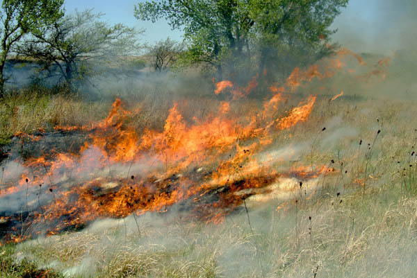 Rushing, Konza Prairie