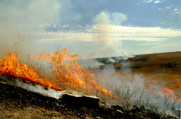 Slip Sliding, Konza Prairie