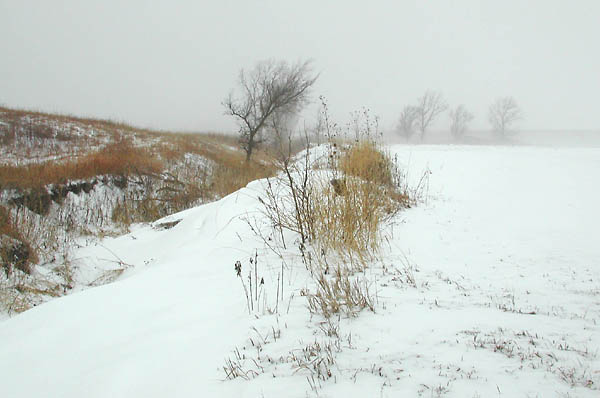 Smudged, Konza Prairie