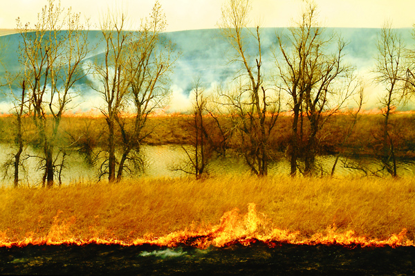 Splitting Waters, Konza Prairie
