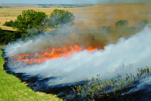 Streaking, Konza Prairie