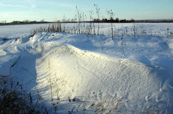 Sweep, Konza Prairie