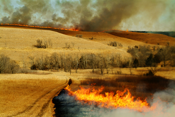 Trail Blazing, Konza Prairie